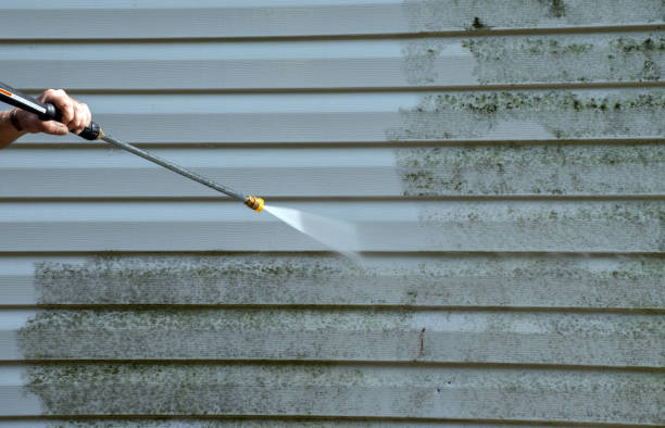 Best Residential Pressure Washing in Cusseta, GA
