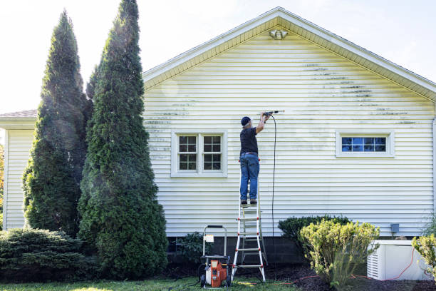 Best Gutter Cleaning and Brightening in Cusseta, GA